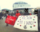 АСТ агитировал за бесплатный проезд в Киеве