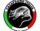 Новая Неофашистская Стратегия: Casa Pound
