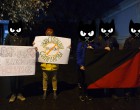 Акция солидарности с протестующими дальнобойщиками России